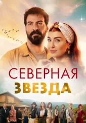Полярная звезда